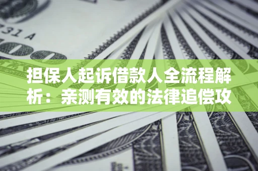 济南担保人起诉借款人全流程解析：亲测有效的法律追偿攻略