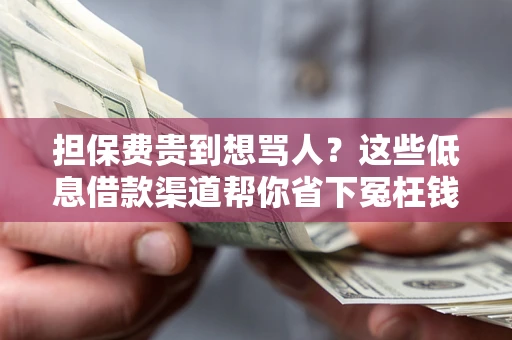 济南担保费贵到想骂人？这些低息借款渠道帮你省下冤枉钱